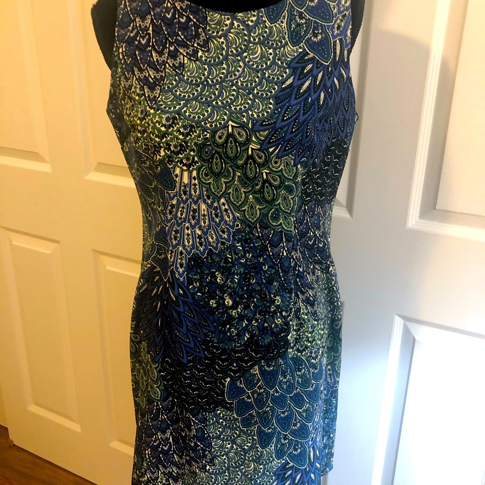 Gently worn, brand is Connected short dress size 10P